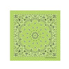 PAISLEY BANDANNA 22x22