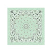 PAISLEY BANDANNA 22x22