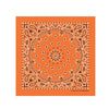 PAISLEY BANDANNA 22x22