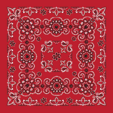 BANDANNAS PAISLEY 27X27