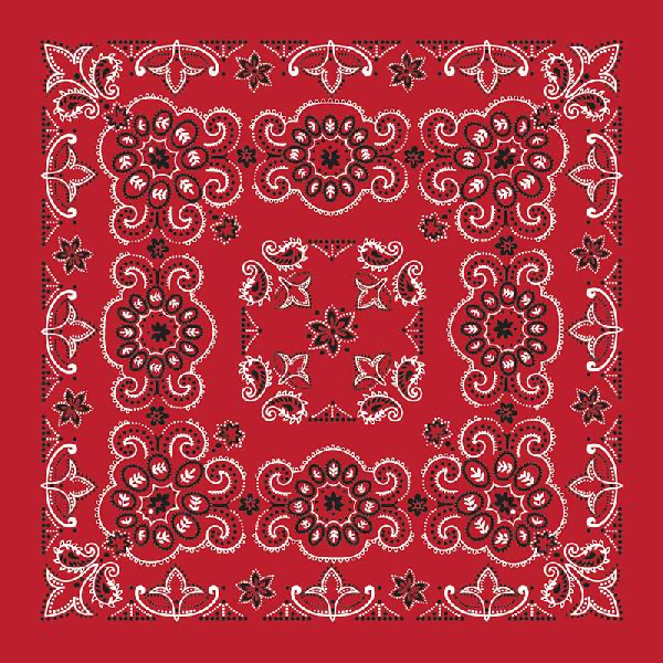 BANDANNAS PAISLEY 27X27