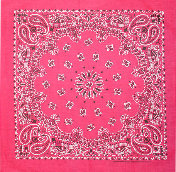 PAISLEY BANDANNA 22x22
