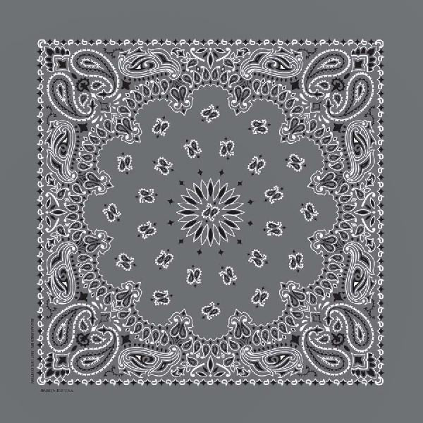 PAISLEY BANDANNA 22x22